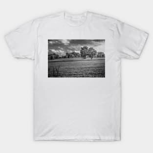 Two Trees In Wheat Field  BnW T-Shirt